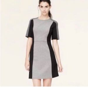 NWT Ann Taylor Loft Gray Black Color Block Short Sleeve Stretch Knit Dress 6